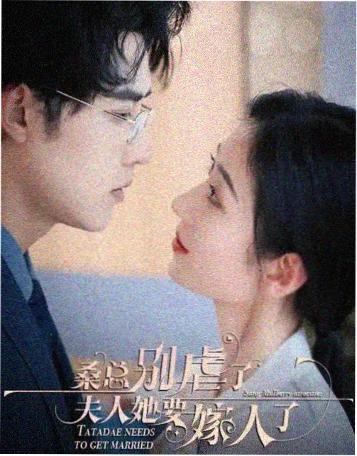 花间提壶,电视剧